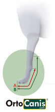 Load image into Gallery viewer, Dog Front Leg Splint - by OrtoCanis