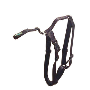 Ortocanis Fastening Belt + harness