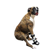 Load image into Gallery viewer, Dog Front Leg Splint - by OrtoCanis