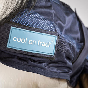 Cool On Track Dog Rug