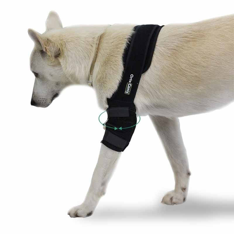 Front elbow brace for dogs hot sale