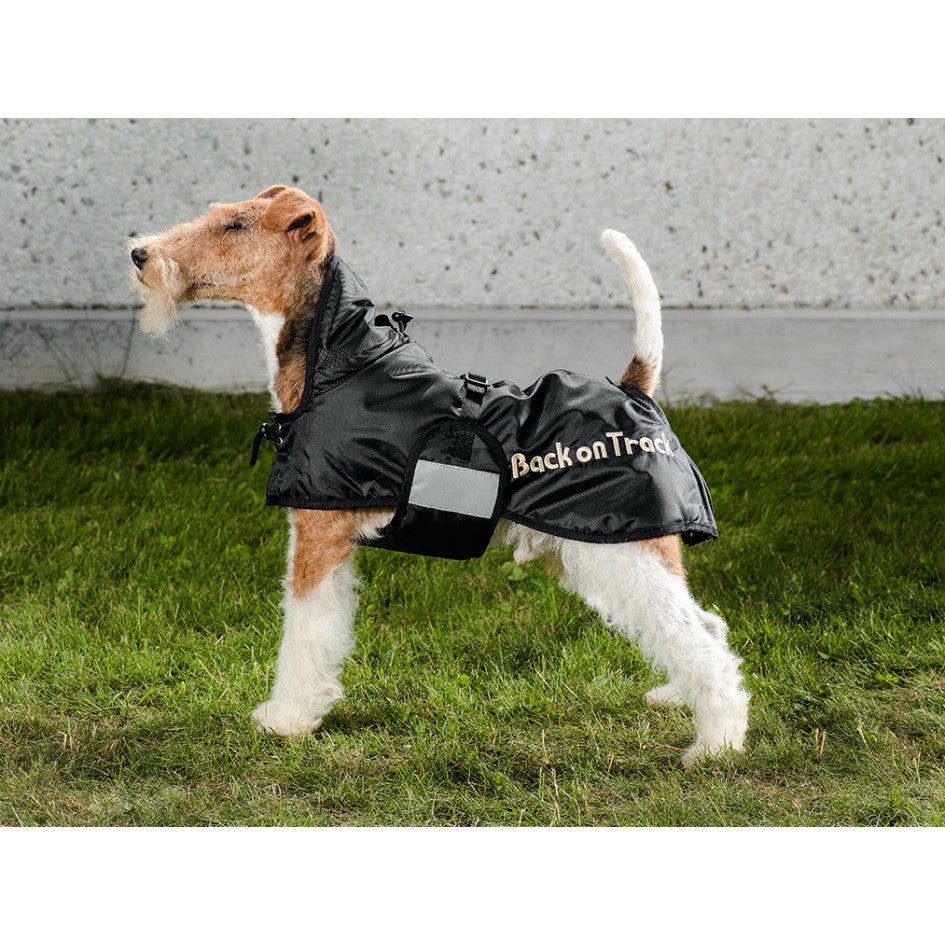 Back on sales track dog rug