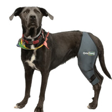 Load image into Gallery viewer, Dog Cruciate Ligament / Knee brace - by OrtoCanis