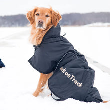 Load image into Gallery viewer, Standard Dog Rug  / Infra-red Technology