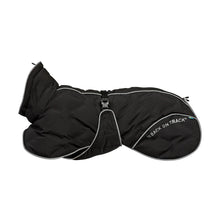 Load image into Gallery viewer, BAY Winter Dog Rug