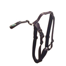 Load image into Gallery viewer, Fastening Belt + harness - by OrtoCanis