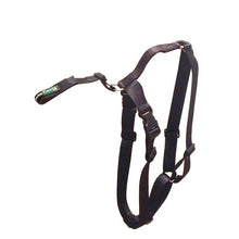 Load image into Gallery viewer, Ortocanis Fastening Belt + harness