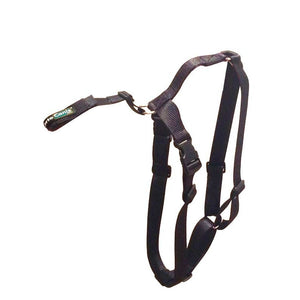 Fastening Belt + harness - by OrtoCanis