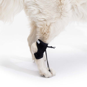 Dog No-Knuckling Sling / Propioceptive Corrector - by Ortocanis