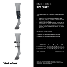 Load image into Gallery viewer, Knee Boots (Pair)