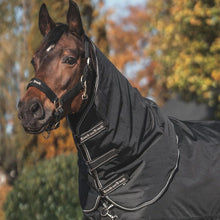 Load image into Gallery viewer, Obsidian Turnout Rug