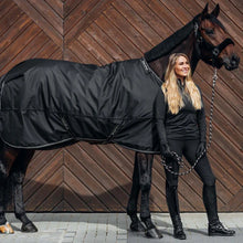 Load image into Gallery viewer, Obsidian Turnout Rug