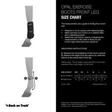 Load image into Gallery viewer, Opal Exercise Boots