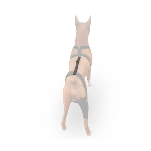 Ortocanis rear support harness top