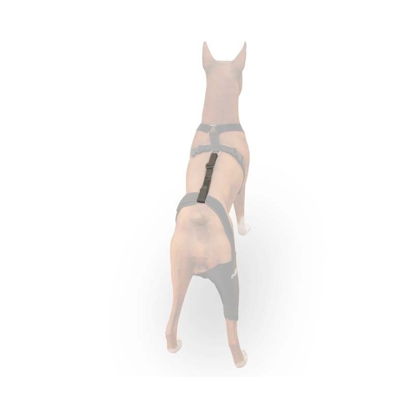 Fastening Belt + harness - by OrtoCanis
