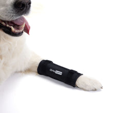 Load image into Gallery viewer, Dog Carpal Brace - by Ortocanis