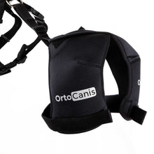Load image into Gallery viewer, Hip Dysplasia Brace - by OrtoCanis
