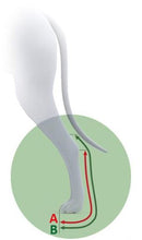 Load image into Gallery viewer, Dog Rear Leg Splint - by Ortocanis