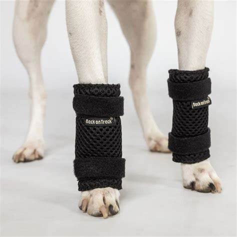 Milo Dog leg wraps