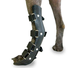 Load image into Gallery viewer, Dog Rear Leg Splint - by Ortocanis
