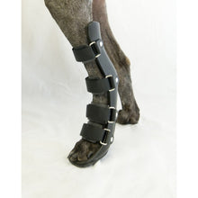 Load image into Gallery viewer, Dog Rear Leg Splint - by Ortocanis