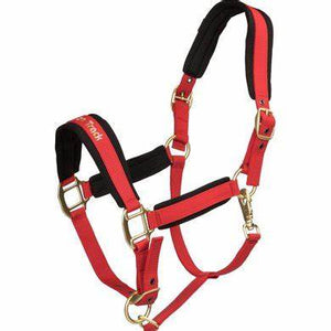 Werano Halter