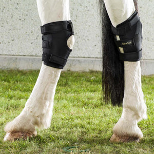 Hock Boots with Hole