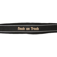 Load image into Gallery viewer, Werano Reflective Halter