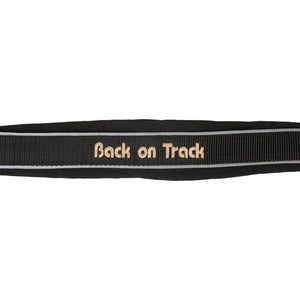 Werano Reflective Halter