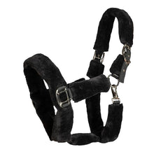 Load image into Gallery viewer, Audrey Fleece Halter