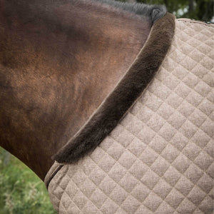 Haze Collection Stable Rug