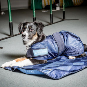 Cool On Track Dog Rug