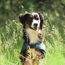 Load image into Gallery viewer, Cool On Track Dog Rug