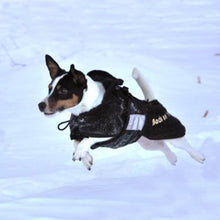 Load image into Gallery viewer, Dog Fleece Rug