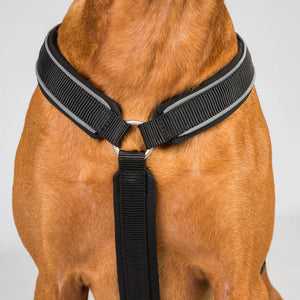 Max Dog Harness