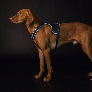 Max Dog Harness