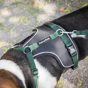 Max Dog Harness