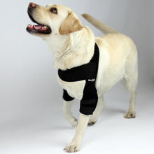 Load image into Gallery viewer, Dog Elbow Pad - by OrtoCanis