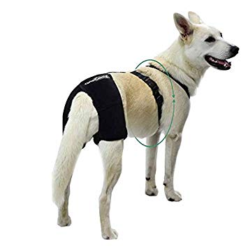 Hip Dysplasia Brace - by OrtoCanis