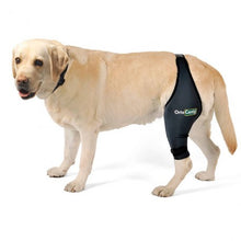 Load image into Gallery viewer, Dog Cruciate Ligament / Knee brace - by OrtoCanis