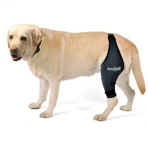 Dog Cruciate Ligament Knee brace by OrtoCanis