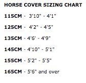 Brianna Turnout Rug