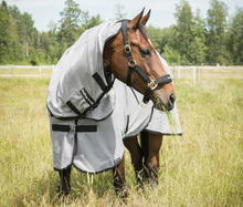 Load image into Gallery viewer, Buzter Fly Rug