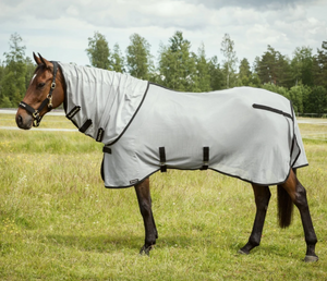 Buzter Fly Rug