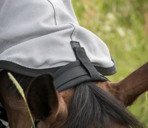Buzter Fly Rug