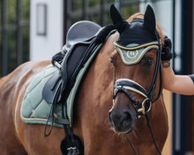 Load image into Gallery viewer, Saddle Pad Nights Collection Dressage