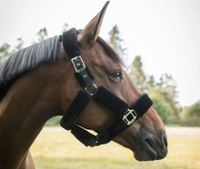 Load image into Gallery viewer, Audrey Fleece Halter