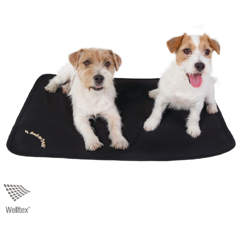 Dog Mattress – Back On Track NZ