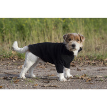 Load image into Gallery viewer, Dog Jumper, Bianca