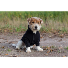 Load image into Gallery viewer, Dog Jumper, Bianca